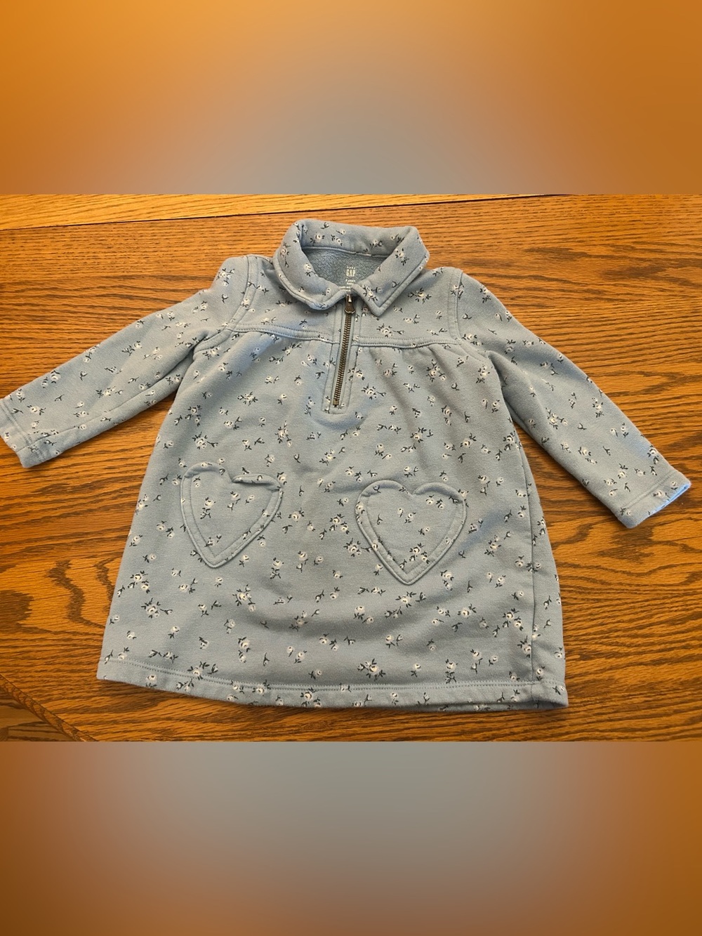 Baby GAP Light Blue Floral Quarter Zip sweatshirt dress